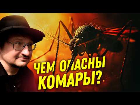 Видео: Мифы о кровососущих насекомых | Ученые против мифов 23-2