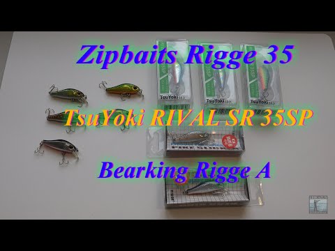 Видео: ОБЗОР и СРАВНЕНИЕ Zipbaits Rigge 35, TsuYoki RIVAL SR 35SP и BEARKING RIGGE A