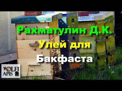 Видео: #Рахматулин Д.К. Улей для Бакфаста