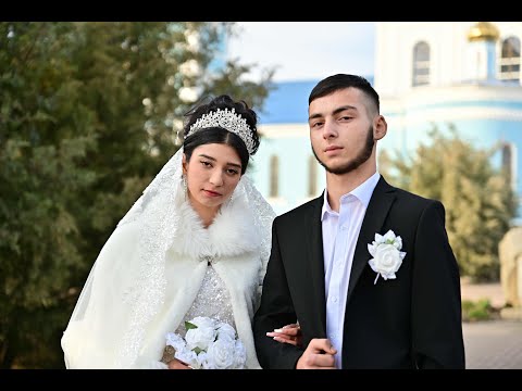 Видео: 20 11 2024 Николай и Алена