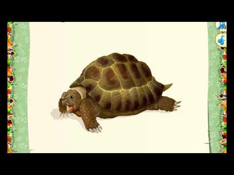 Видео: Развивающий мультик для детей от 1-го года до 3-х лет. Геометрические фигуры