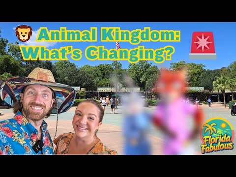 Видео: Большие обновления в Animal Kingdom! Новые аттракционы, закрытия и наше приключение