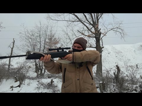 Видео: Охота на фазана с воздушки