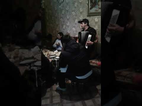 Видео: Мирзидты