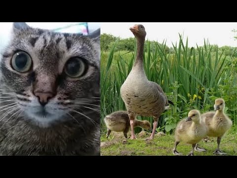 Видео: Ответы на Вопросы по Мистике от 29.10.25