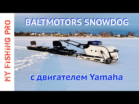 Видео: Купил МОТОСОБАКУ! Обзор мотобуксировщика Baltmotors SNOWDOG с двигателем YAMAHA!