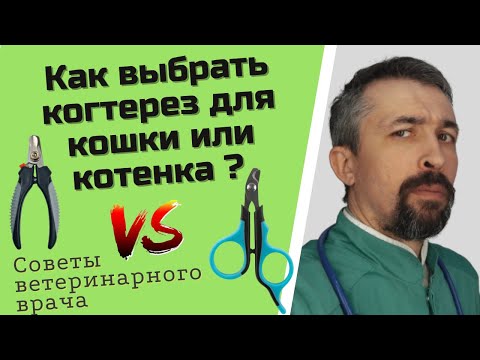 Видео: Когтерез для кота