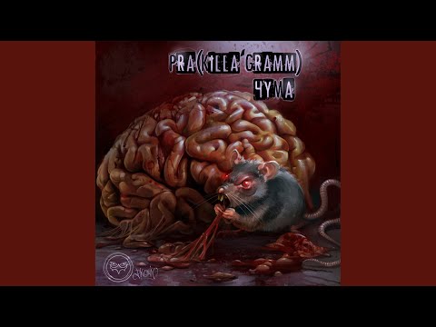 Видео: Где мы с тобой подскажи