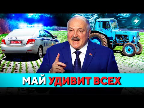 Видео: Фермеры бьют тревогу! Синоптики предупреждают: худшее впереди. Брест и Пинск СОДРОГНУЛИСЬ // Новости