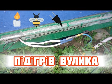 Видео: ✅Як Підігрів Вуликів Змінює Ефективність Бджільництва