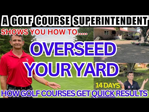 Видео: «Руководство по посеву и обновлению газона: лучшие семена травы, сроки внесения удобрений и совет...