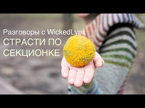 Видео: Разговоры с WickedLynx. Страсти по секционке