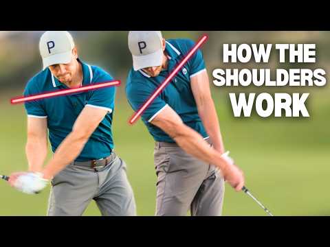 Видео: Это УПРЯЖЕНИЕ ДЛЯ ПЛЕЧЕЙ сделает вас ОПАСНО ХОРОШИМИ!