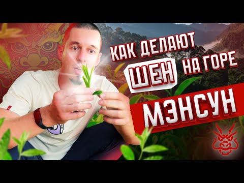 Видео: В гостях у чайных фермеров | секреты производства пуэра