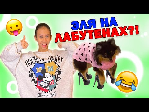 Видео: Валяюсь От СМЕХА👉 Эля на ЛАБУТЕНАХ Гуляет по СНЕГУ