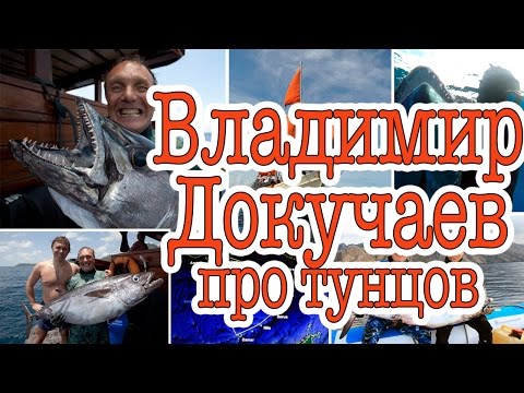 Видео: Владимир Докучаев: про охотников и фридайверов, про море Банда и Таиланд