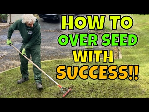 Видео: Разбрасывание семян на новом газоне // Восстановление повреждений, полученных зимой, весной