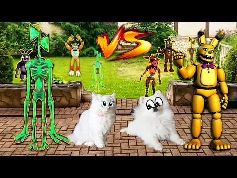 Видео: Крутой БОЙ АНИМАТРОНИКОВ с Бандой СИРЕНОГОЛОВЫХ!!!