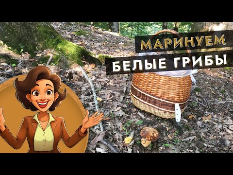 Видео: Маринуем белые грибы