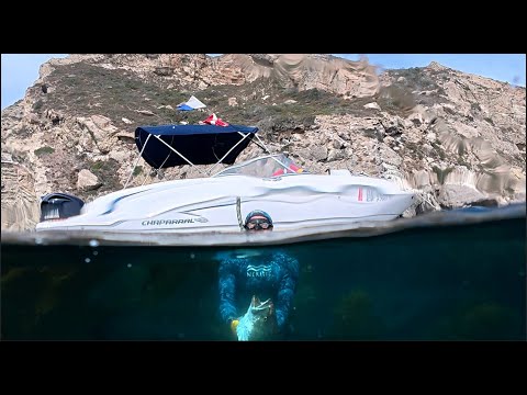 Видео: Легендарный белый морской окунь | Полное приключение подводной охоты