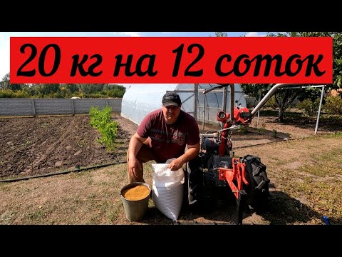 Видео: Сидераты и севооборот. Правильный посев для удобрения почвы.