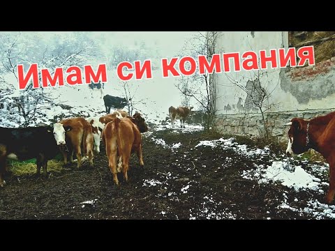 Видео: Село Бов - Хижа Тръстеная