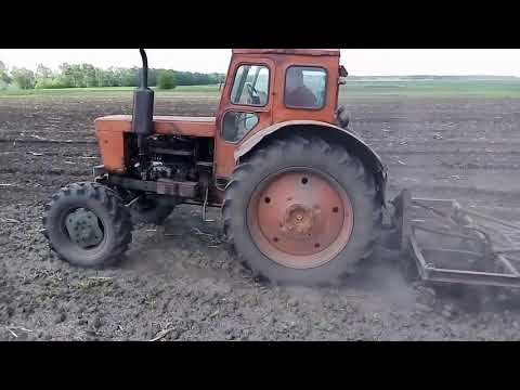 Видео: Т 40.Культивация саморобным культиватором. Сороковка в деле.