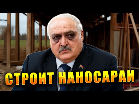 Видео: Технологический бум в сельском хозяйстве Беларуси / Нутрициолог лукашенко и его перепелиные советы