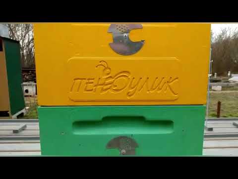 Видео: Бесплатная реклама Улья и Изолятора#пчеловодство#пасека#пчёлы#изоляцияматок#малыхин#миленин#пеноулик