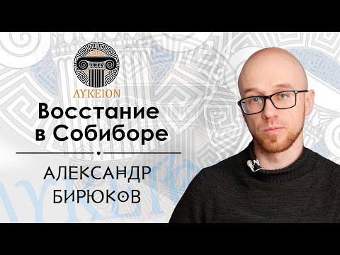 Видео: Восстание в Собиборе / Александр Бирюков, преподаватель АмГПГУ