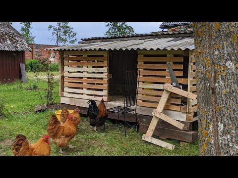 Видео: Temporary chicken house from pallets. Временный курятник из поддонов