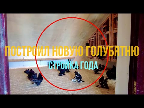 Видео: ПОСТРОИЛ НОВУЮ ГОЛУБЯТНЮ СТРОЙКА ГОДА