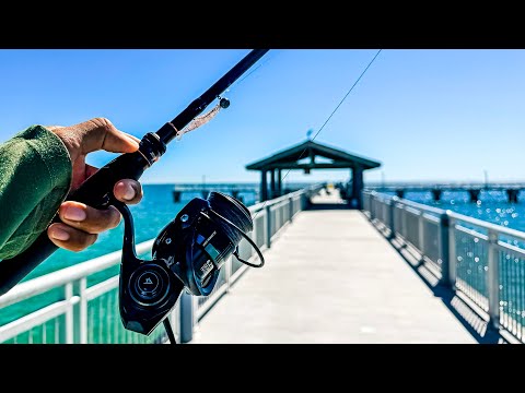 Видео: 2 дня рыбалки во Флориде с приманками и живой наживкой | Безостановочный экшн