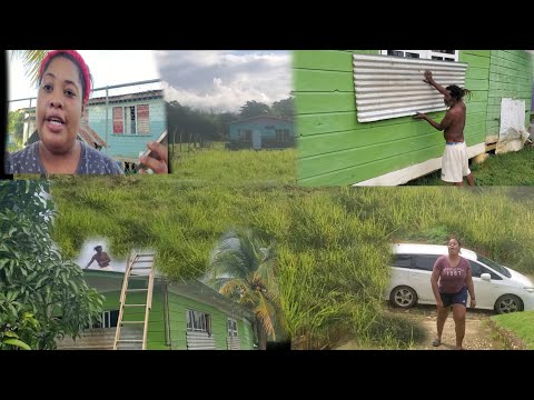 Видео: Ураган Мелисса готовится к шторму в Уэстморленде, Ямайка.