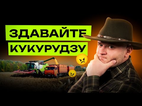 Видео: ЩО БУДЕ З ЦІНОЮ НА КУКУРУДЗУ ЧЕРЕЗ ПЕРЕВИРОБНИЦТВО В США? ЧОМУ ТРЕБА ТЕРМІНОВО ЗДАВАТИ УРОЖАЙ?