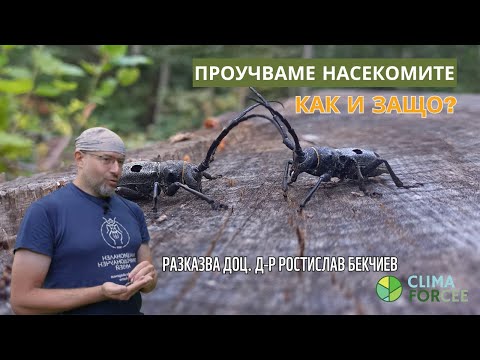 Видео: Научи за насекомите с доц. д-р Ростислав Бекчиев • Защо ги проучваме всяка година?