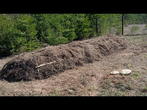 Видео: Малоуходная грядка Хольцера на участке без воды. Первый год. Наш опыт