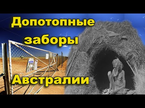 Видео: Допотопные заборы Австралии