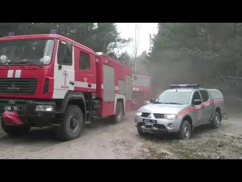 Видео: Навчальний фільм - гасіння лісових пожеж.