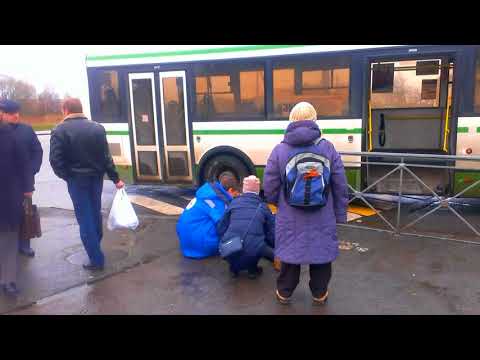Видео: В Колпино на пешеходном переходе рейсовый автобус сбил девушку