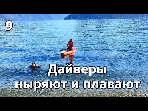 Видео: Горная речка впадает в Телецкое озеро. Дайверы  ныряют и плавают. Влог 9