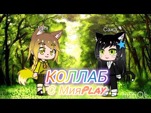 Видео: Коллаб с МияPlay (Подписчицей) @user-ud9oh3qv4x "Кто из вас" 2 часть #котывоители #warriorcats