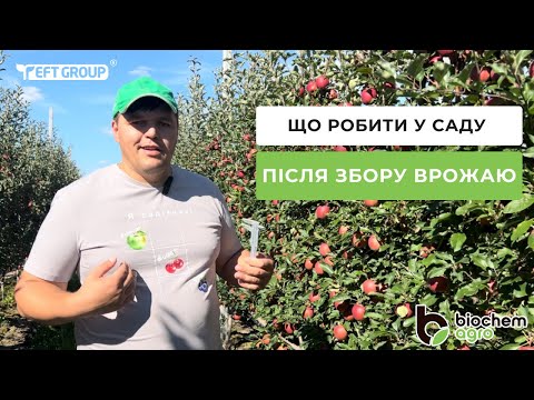 Видео: Осінній догляд за садом: Поради після збору врожаю