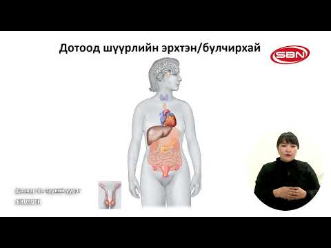 Видео: 2020/03/11 "Биологи" 10-р ангийн теле хичээл /Даавар ба түний үүрэг/Багш: Г.Дарамбазар