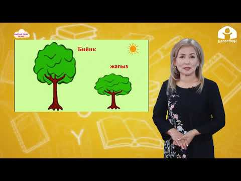 Видео: 3-класс  |  Кыргыз тили | Заттын формасын, көлөмүн,даамын билдирген сын атоочтор