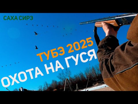 Видео: ОХОТА НА ГУСЯ / ТУБЭ 2025