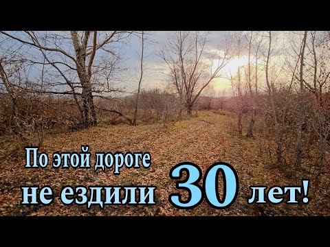 Видео: По этой дороге не ездили 30 лет!