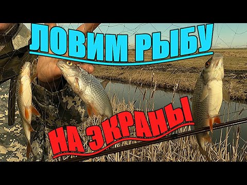 Видео: РЫБАЛКА НА ЭКРАНЫ-ТЕЛЕВИЗОРЫ. Наловили кучу рыбы.