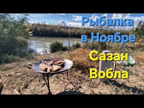 Видео: «Ловля и готовка рыбы в Ноябре — наш улов!» ✅