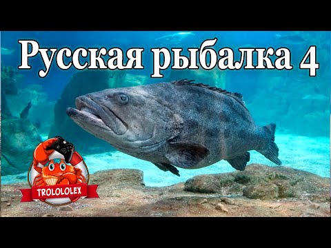 Видео: Русская рыбалка 4 фарм на Норвежском море